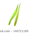 Illustration of Grass Leaf 140721189
