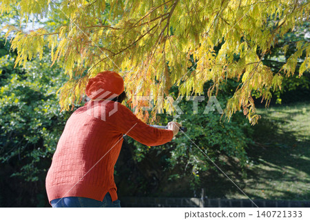 Asian Woman in Red Beret Photographs Sunlit Trees with Selfie Stick Asian Woman in Red Beret Photographs Sunlit Trees with Selfie Stick 140721333