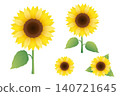 Watercolor-style sunflower illustration set: Summer vector material collection 140721645
