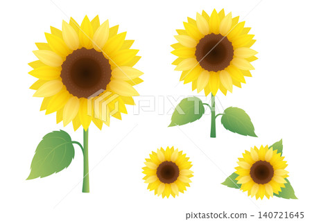 水彩風格向日葵插畫集:夏季向量素材合集 水彩風格向日葵插畫集:夏季向量素材合集 140721645
