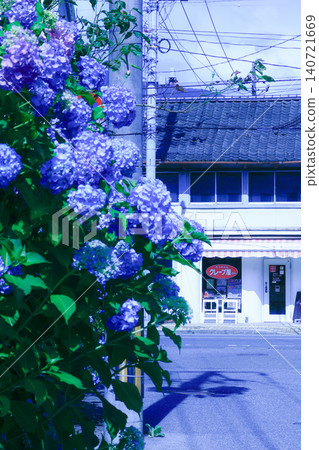 Hydrangeas and a small crepe shop Hydrangeas and a small crepe shop 140721669