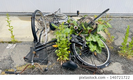 Decadent Art Bicycle Decadent Art Bicycle 140721722