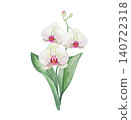 Watercolor orchid bouquet with white flowers and green leaves 140722318