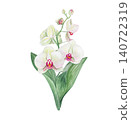 Watercolor botanical bouquet with three white phalaenopsis orchids and green leaves 140722319
