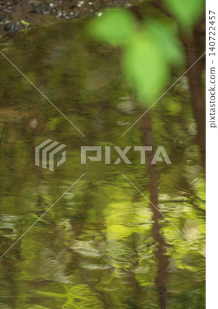 The reflection of the flowing water amidst the fresh greenery. The reflection of the flowing water amidst the fresh greenery. 140722457