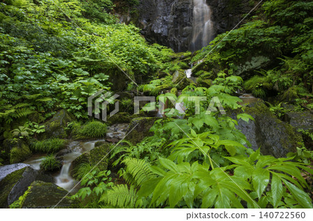 A waterfall surrounded by fresh greenery A waterfall surrounded by fresh greenery 140722560