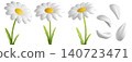 Cute 3D plastic Daisy Flower. Cartoon chamomile bubble bloom with white petals for spring and summer design. 3d render	 140723471