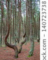 pines with curved trunks in coniferous forest 140723738