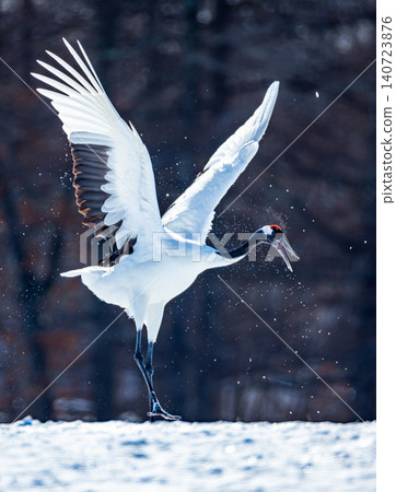 Crane crane landing Crane crane landing 140723876