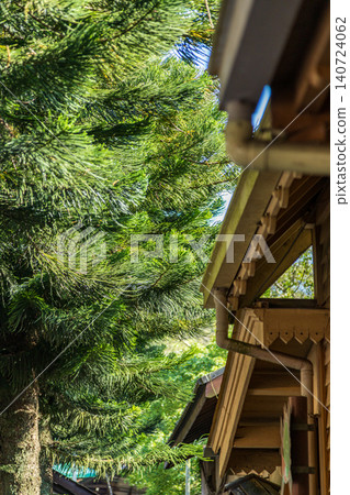 Lush green pine trees under the sunlight and Japanese retro wooden eaves Lush green pine trees under the sunlight and Japanese retro wooden eaves 140724062