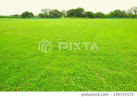 A weekday break in the rainy season: a scene of white clover growing in the outfield of a baseball field along the Edogawa River. A weekday break in the rainy season: a scene of white clover growing in the outfield of a baseball field along the Edogawa River. 140724172