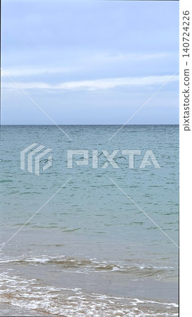 Calm seascape with low clouds and birds over shallow water Calm seascape with low clouds and birds over shallow water 140724226