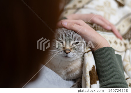 主人撫摸著他們可愛的貓咪 主人撫摸著他們可愛的貓咪 140724358
