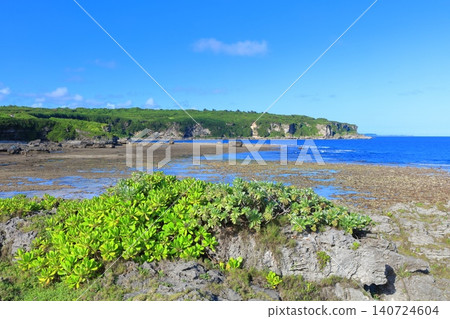 【沖繩縣】晴空萬裡下的穆伊加懸崖(七俁海岸) 【沖繩縣】晴空萬裡下的穆伊加懸崖(七俁海岸) 140724604
