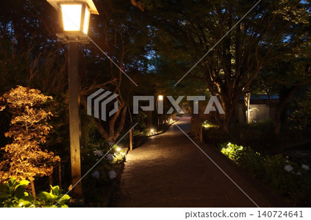 修善寺的夜間街道被路燈照亮 修善寺的夜間街道被路燈照亮 140724641