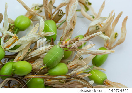 Exploring the unique shapes and textures of green seeds and dried husks in a natural display Exploring the unique shapes and textures of green seeds and dried husks in a natural display 140724833