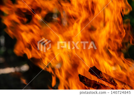 Flame of charcoal fire. Hearth for cooking and heating. Danger in forest Flame of charcoal fire. Hearth for cooking and heating. Danger in forest 140724845
