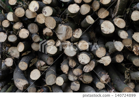 Stacked logs in a lumberyard ready for processing and distribution during daylight hours in an outdoor setting Stacked logs in a lumberyard ready for processing and distribution during daylight hours in an outdoor setting 140724899