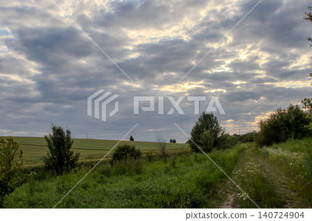 Beautiful pathway through a green field under a cloudy sky during late afternoon in a rural area 140724904