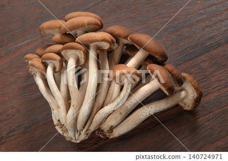 Willow matsutake mushrooms from Aoki Village, Nagano Prefecture Willow matsutake mushrooms from Aoki Village, Nagano Prefecture 140724971