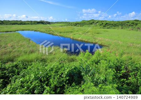 【沖繩縣】晴空下的池間濕地（宮古島） 140724989