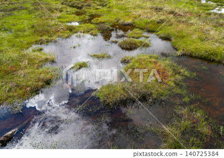 Reflective Peatland Pools and Brooks in Dunika Swamp Wetland Landscape Latvia Nature Reserve View Reflective Peatland Pools and Brooks in Dunika Swamp Wetland Landscape Latvia Nature Reserve View 140725384