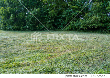 Freshly Mowed Meadow at Forest Edge with Cut Grass Covering Rural Summer Landscape Scene View Freshly Mowed Meadow at Forest Edge with Cut Grass Covering Rural Summer Landscape Scene View 140725449