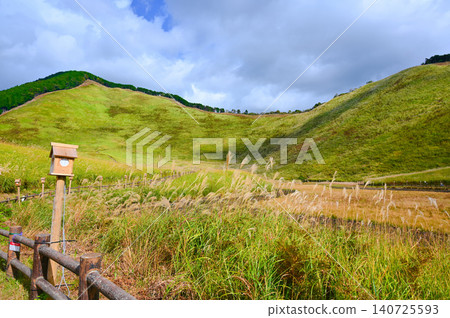 Soni Plateau, a famous spot for pampas grass, Soni Village Soni Plateau, a famous spot for pampas grass, Soni Village 140725593