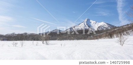 A snowy landscape of crows and cranes at Oyama Kagamigasari 140725998