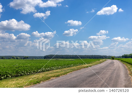 Countryside road winding through green agricultural fields 140726520