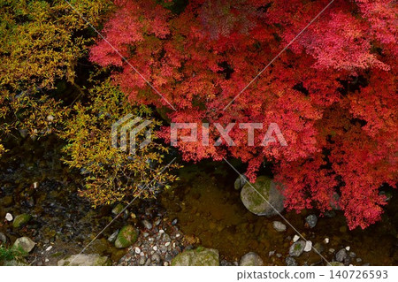 長須川(二澱川的支流)的秋葉景色壯麗。 長須川(二澱川的支流)的秋葉景色壯麗。 140726593
