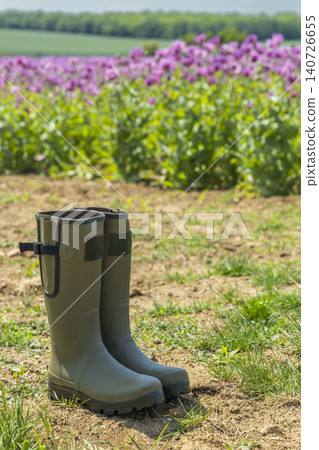 Green rubber boots standing on dirt field with blooming poppies 140726655