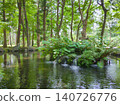 A spring and ferns gushing from the pond at Tenpyo-no-Oka Park, a landscape of lush green forest (horizontal orientation) [Tenpyo-no-Oka/Tochigi] 140726776
