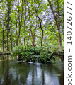 A spring and ferns gushing from the pond at Tenpyo-no-Oka Park, a landscape of lush green forest (vertical orientation) [Tenpyo-no-Oka/Tochigi] 140726777