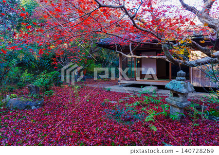 恩里安寺,被秋葉環繞 恩里安寺,被秋葉環繞 140728269
