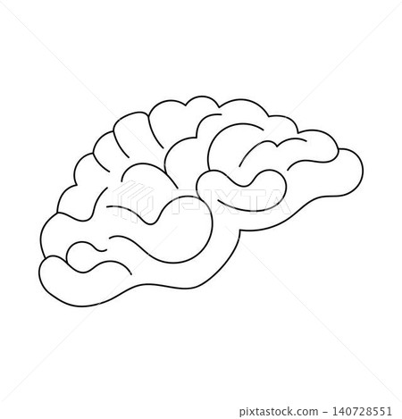 Human brain outline icon on white background Human brain outline icon on white background 140728551