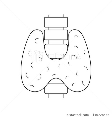 Human thyroid outline icon on white background 140728556