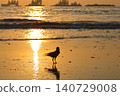 Mumbai Maharashtra India Jan 18 2026 Silhouetted crow standing on wet beach sand at sunset with golden sea reflections and gentle waves creating a peaceful coastal wildlife scene at Juhu Beach 140729008