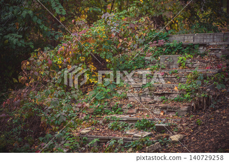 Old brick concrete stairs overgrown autumn foliage vines, covered fallen leaves natural setting Old brick concrete stairs overgrown autumn foliage vines, covered fallen leaves natural setting 140729258