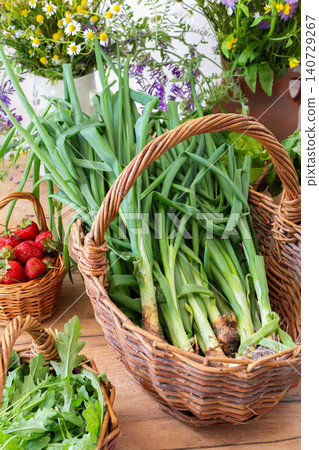 Baskets filled with freshly picked organic vegetables sit on a wooden table. Green onions, lettuce, and radishes are among the harvest from a local farm Baskets filled with freshly picked organic vegetables sit on a wooden table. Green onions, lettuce, and radishes are among the harvest from a local farm 140729267