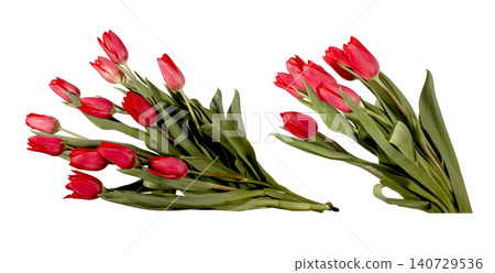 Two tulip flower bouquets with green stems and leaves on grey background. Composition highlighting pair arrangement and symmetry clearly. Floral concept for balance relationship and spring 140729536