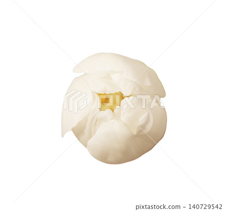 White tulip flower head close up isolated white background. Detailed composition highlighting soft petals and delicate structure clearly. Botanical concept for purity minimalism and floral 140729542