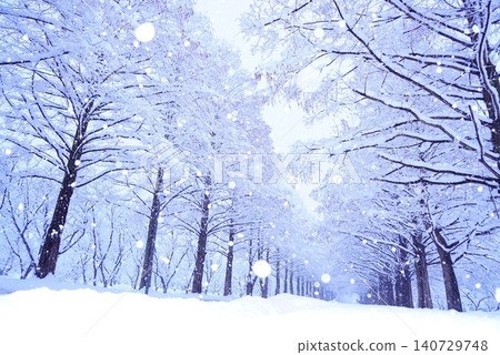 Snow world Snow world 140729748