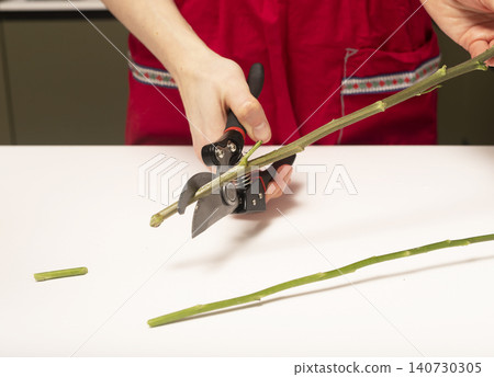 Florist trimming long stem with pruning shears on table. Hands cutting plant preparing flowers for arrangement. Concept of professional floral work.. 140730305