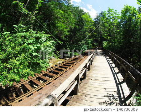 cross the bridge in the forest cross the bridge in the forest 140730309