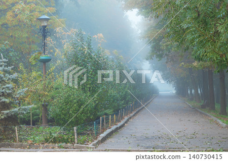 A tranquil view of a foggy alley lined with trees, perfect for a peaceful promenade in autumn A tranquil view of a foggy alley lined with trees, perfect for a peaceful promenade in autumn 140730415