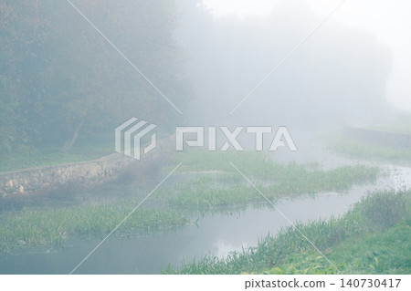 Foggy morning in a serene suburban countryside with a pond and lush plants Foggy morning in a serene suburban countryside with a pond and lush plants 140730417