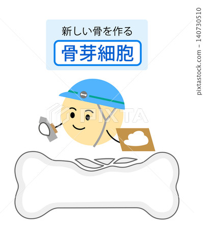 一張解釋成骨細胞功能的圖示。 一張解釋成骨細胞功能的圖示。 140730510
