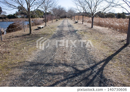 Country road 140730606
