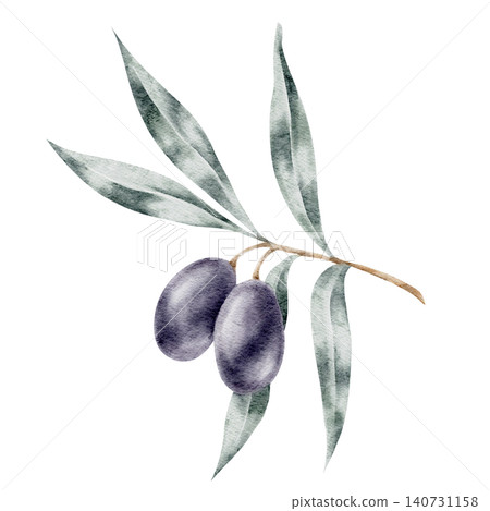 Dark purple olives with blue-green leaves on a delicate branch, watercolor clipart for gourmet food packaging, olive product labels, agricultural branding, kitchen graphics Dark purple olives with blue-green leaves on a delicate branch, watercolor clipart for gourmet food packaging, olive product labels, agricultural branding, kitchen graphics 140731158